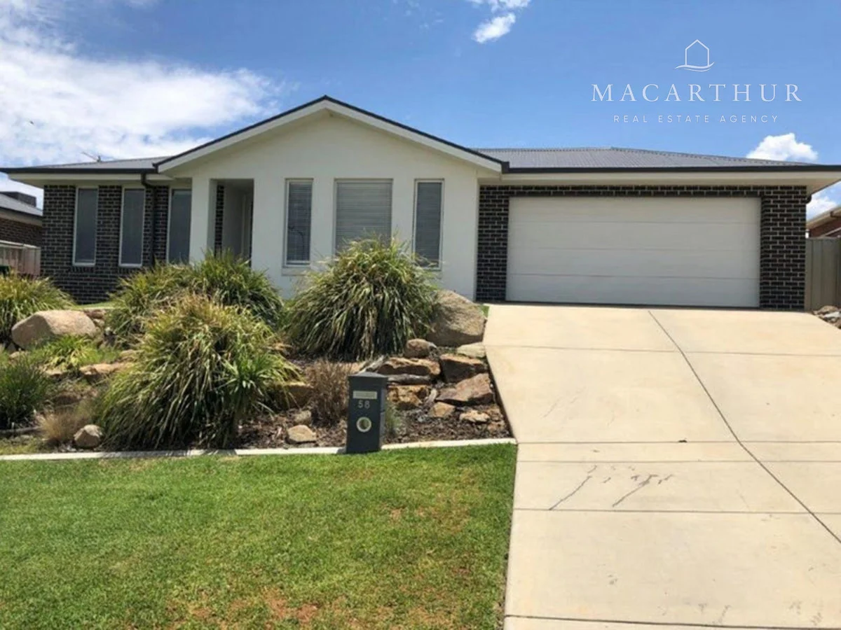 58 Franklin Drive, Estella NSW 2650
