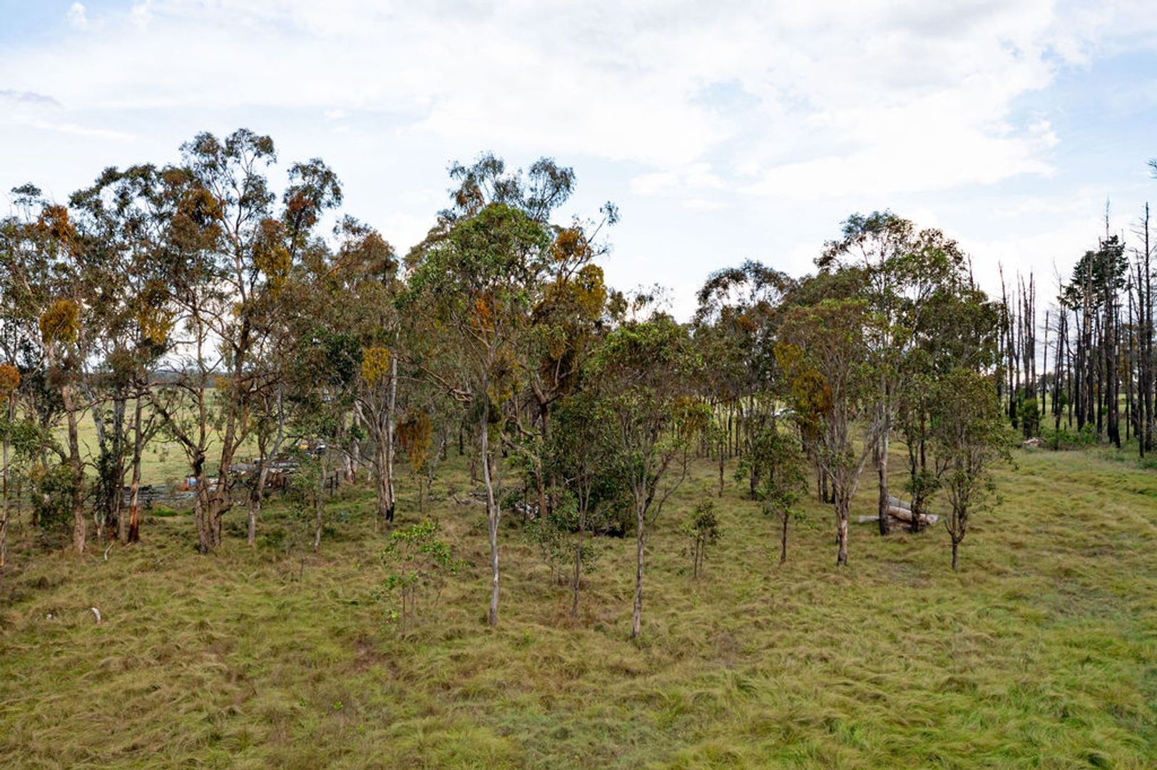 Proposed Lot 762 Robinsons Lane, Tenterfield NSW 2372, Image 2