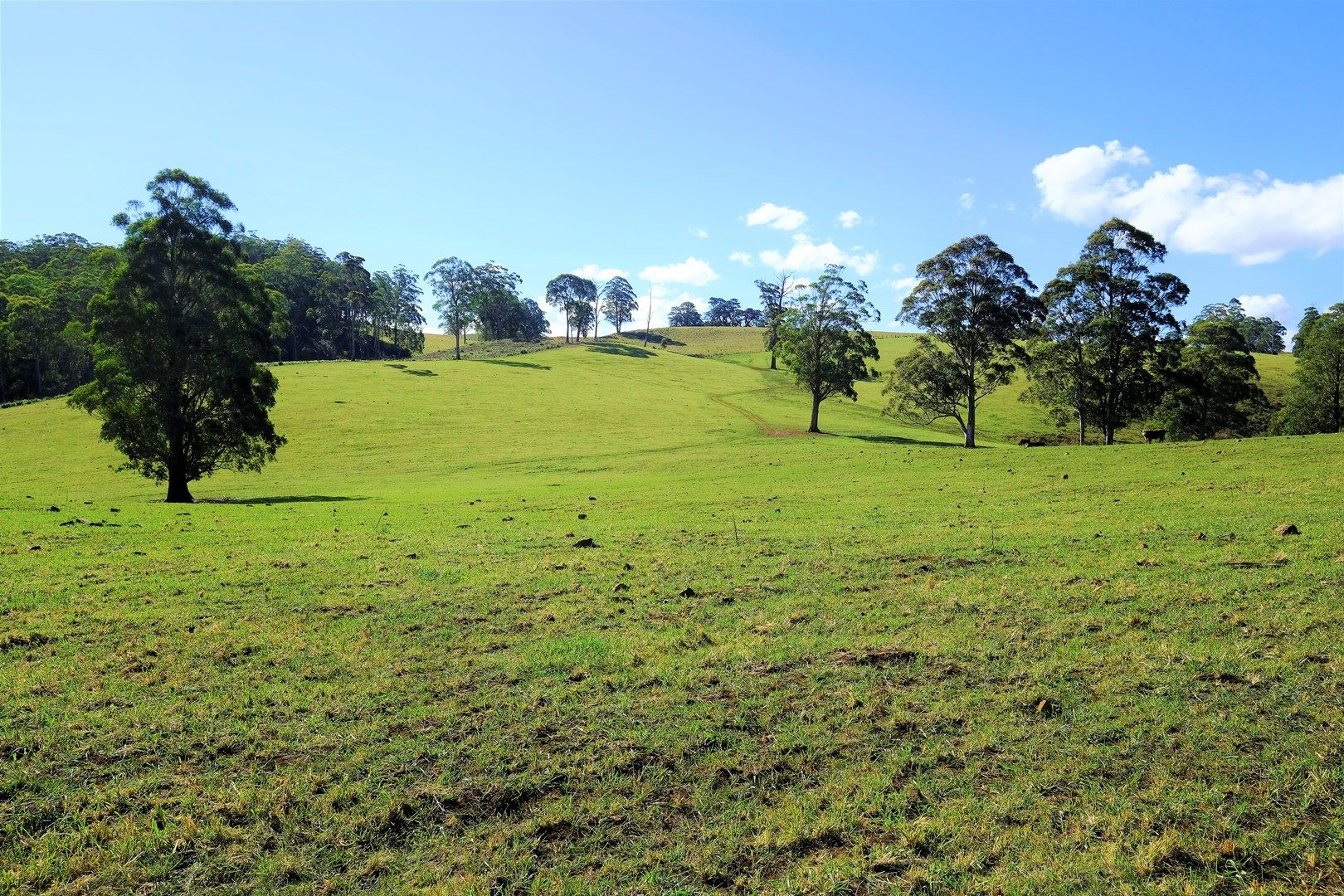 1275 The Tops Road, Nowendoc NSW 2354, Image 0