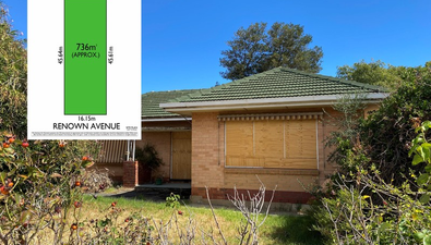 Picture of 6 Renown Avenue, CLOVELLY PARK SA 5042