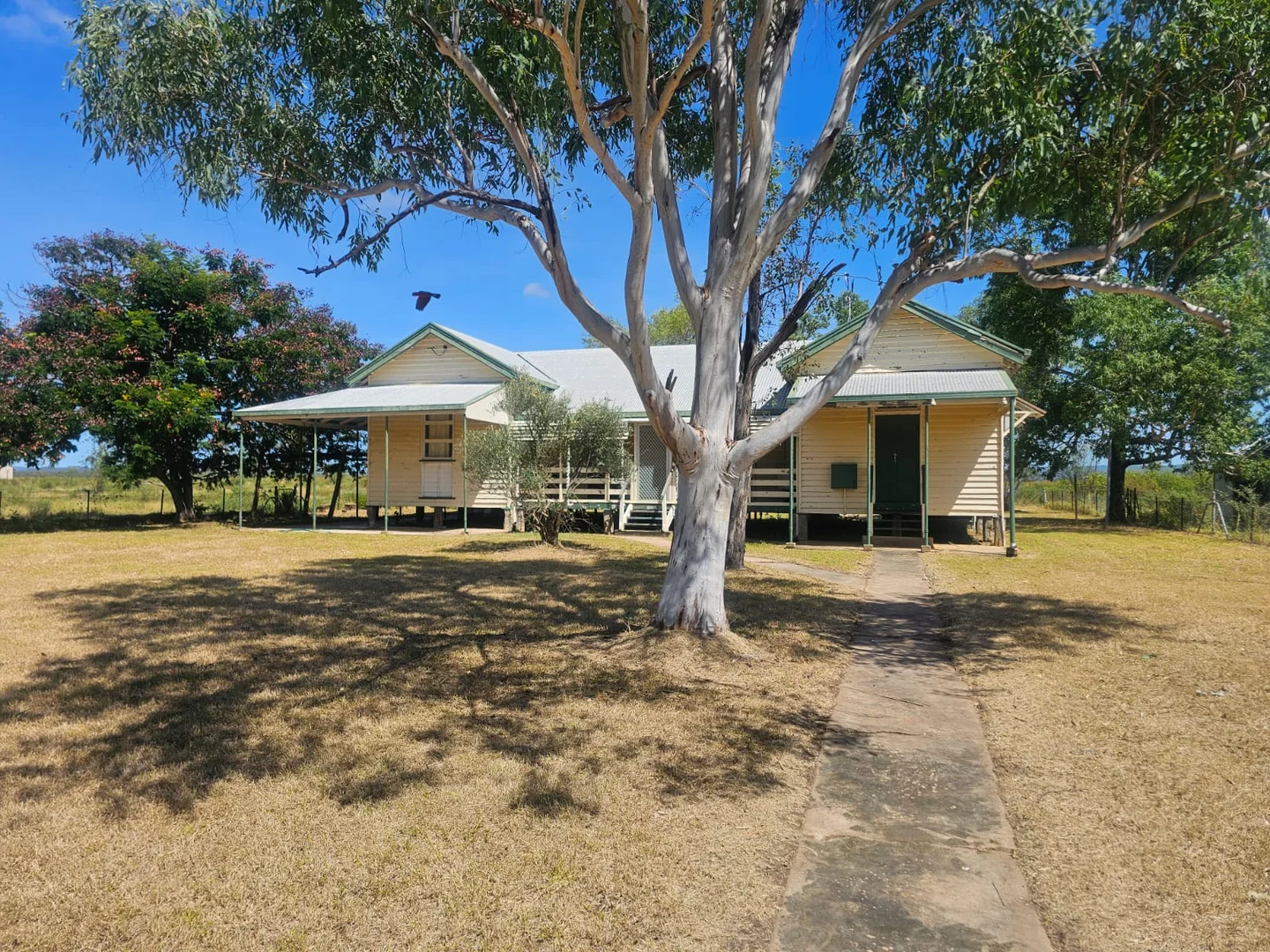 Image 12
