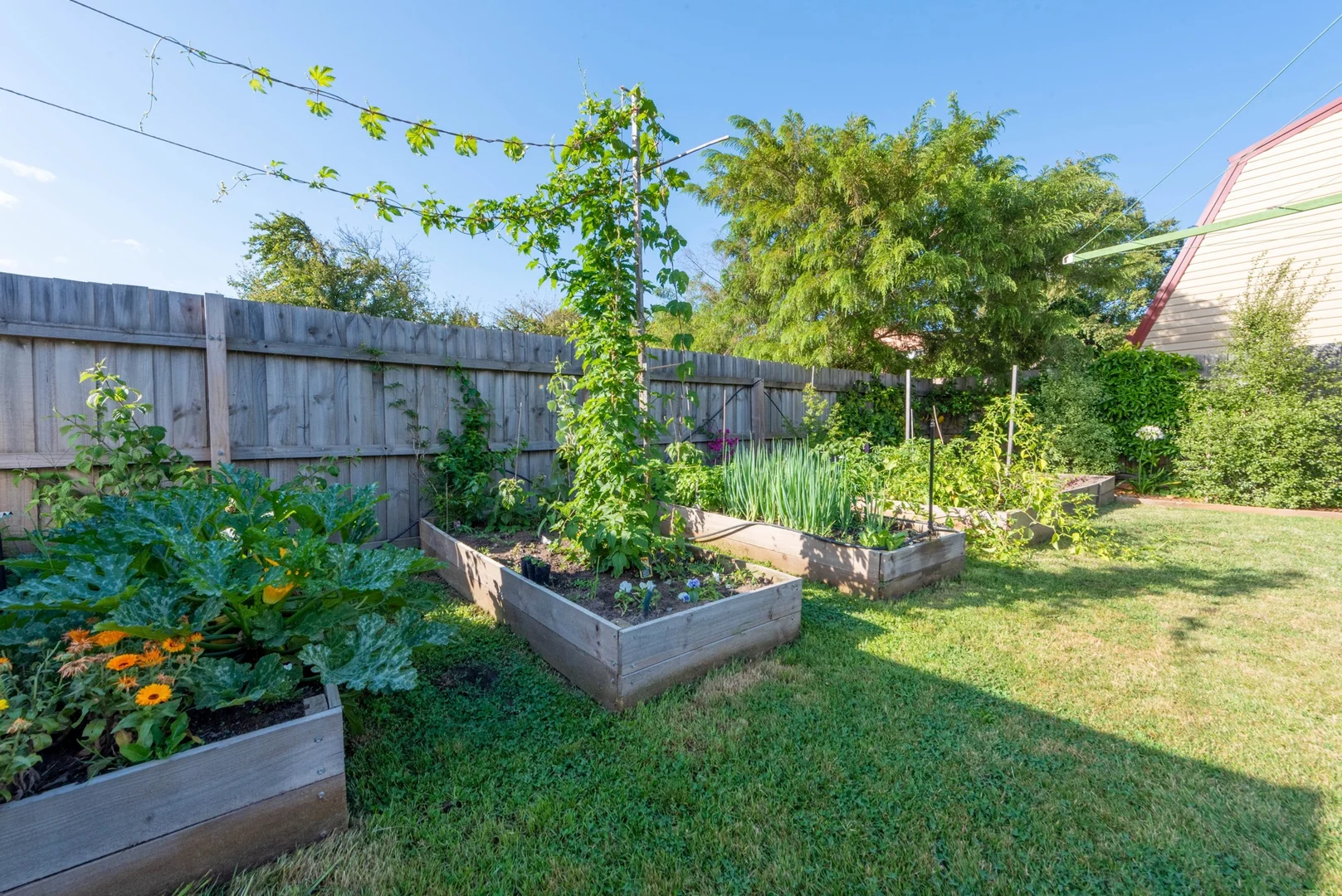 Additional image 27 of 77 Melbourne St, South Launceston TAS 7249