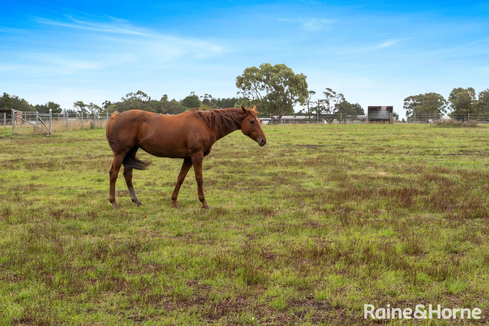 Additional image 29 of 28 View Bank Lane, Riddells Creek VIC 3431