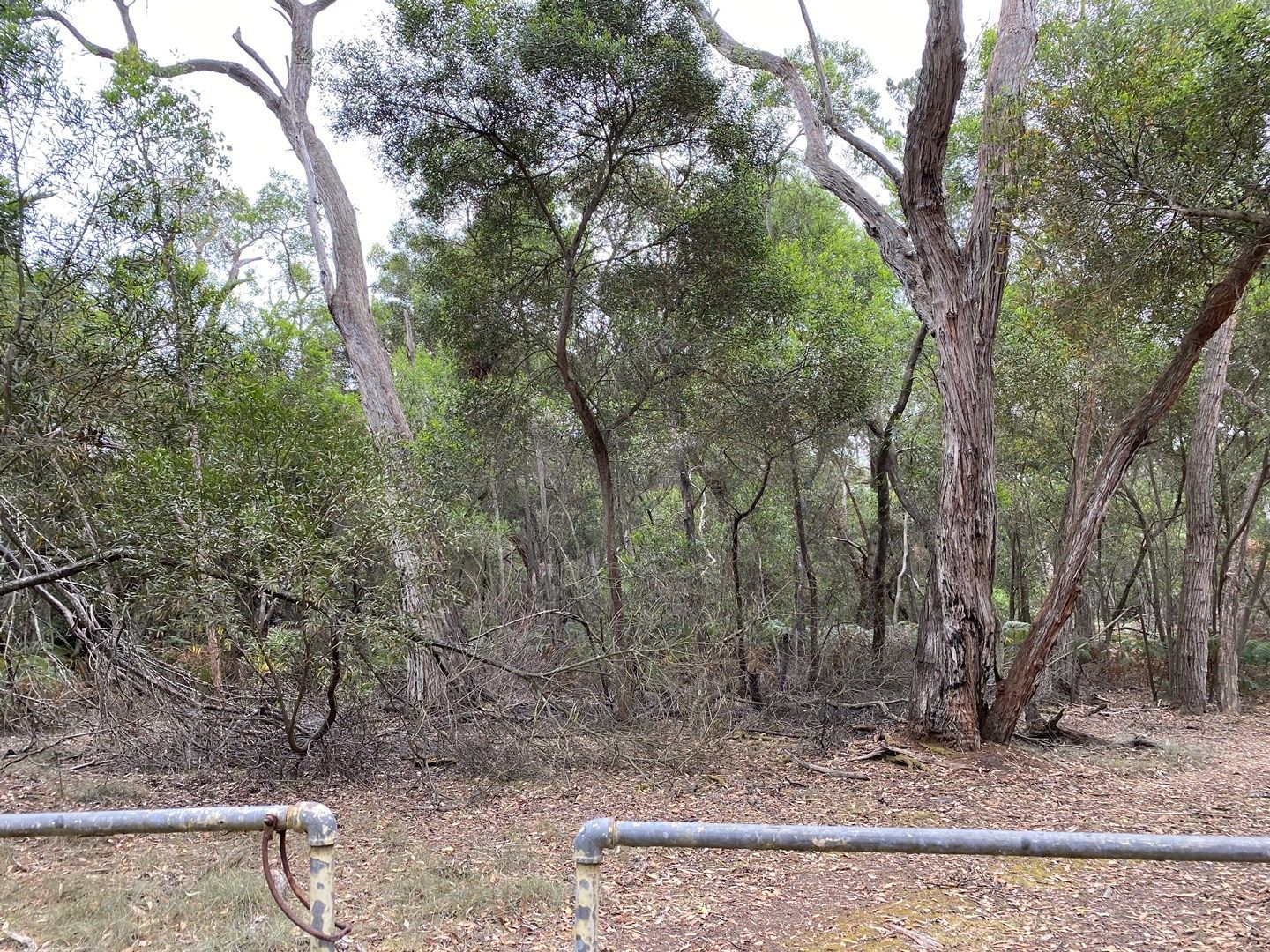 Lot 7 PS422644 Border Road, Strathdownie VIC 3312, Image 0