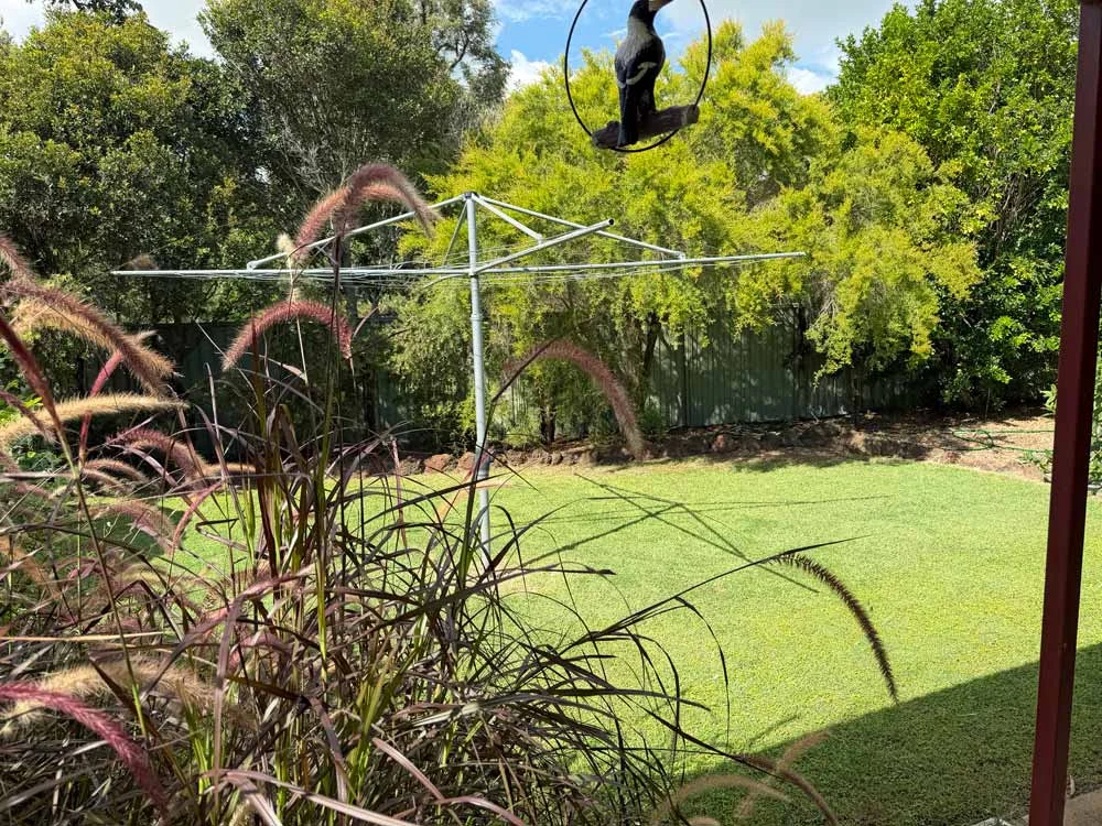 Additional image 15 of 11 Winifred Cobbo Street, Gayndah QLD 4625