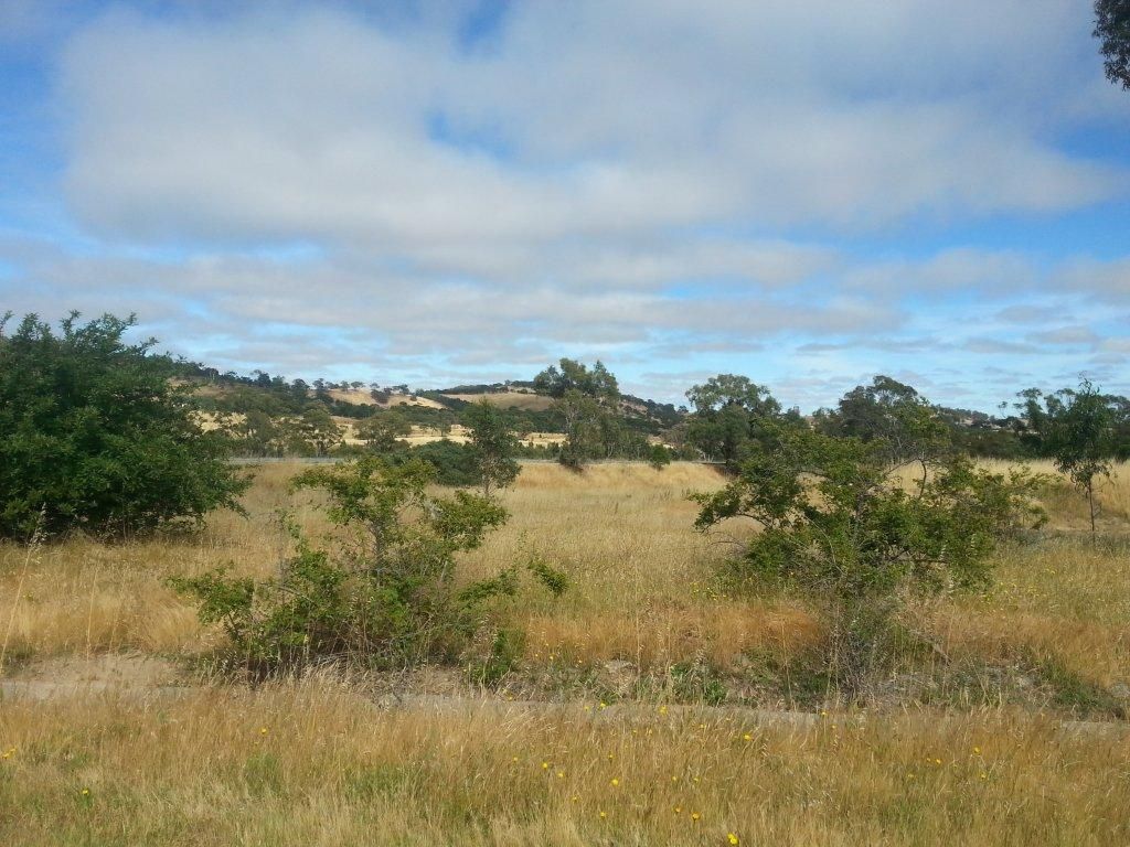 Lot 1 57 Johansens Road, HARCOURT VIC 3453, Image 1