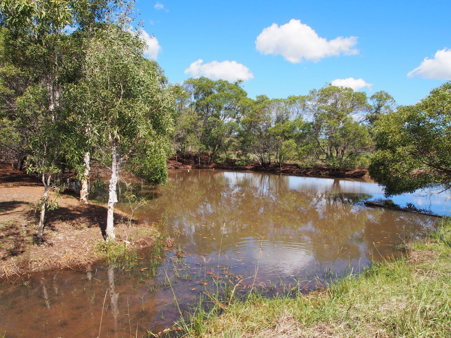 21 WHITES ROAD, Horton QLD 4660, Image 1