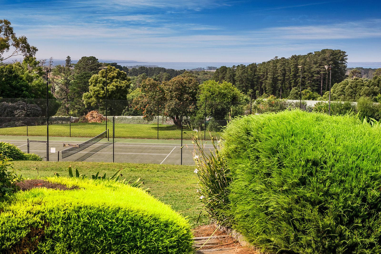 41 Paringa Road, Red Hill VIC 3937, Image 0