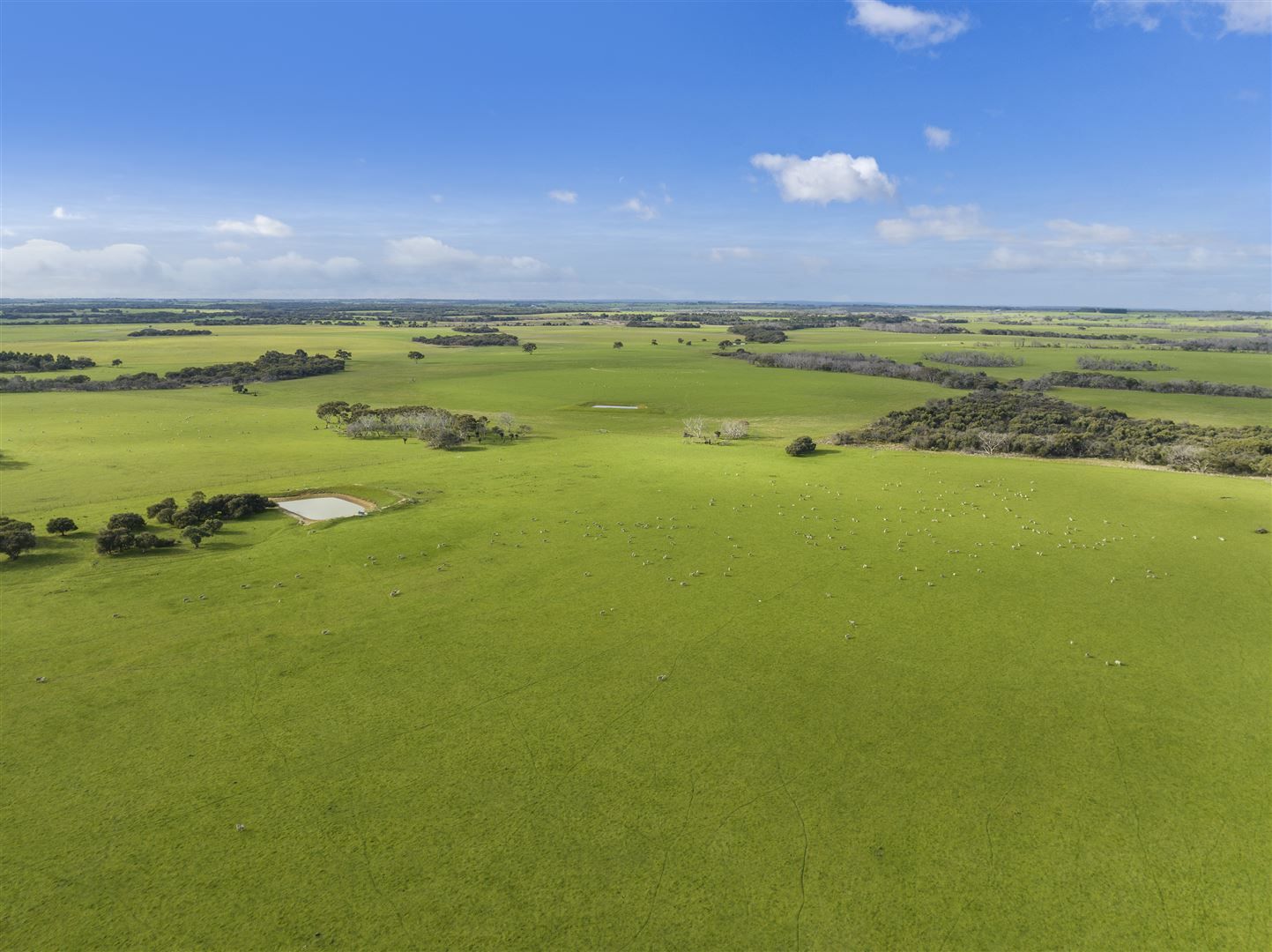 Allot 94 Playford Highway, Newland SA 5223, Image 0