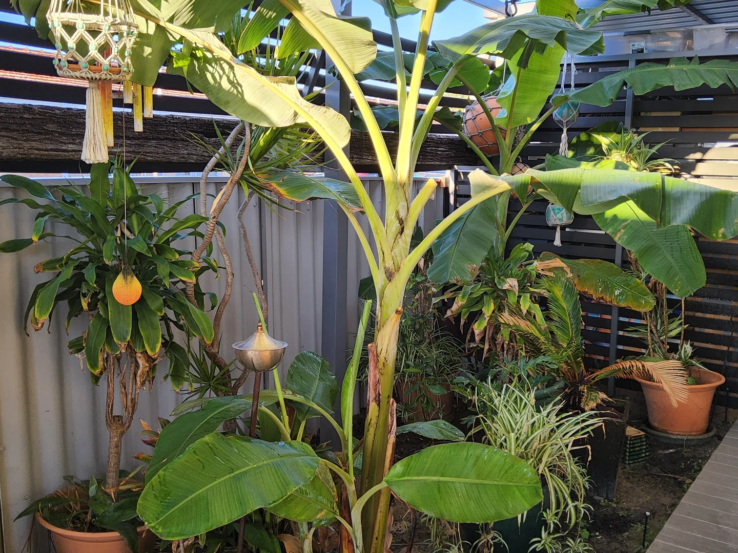 Additional image 4 of Rockingham WA 6168