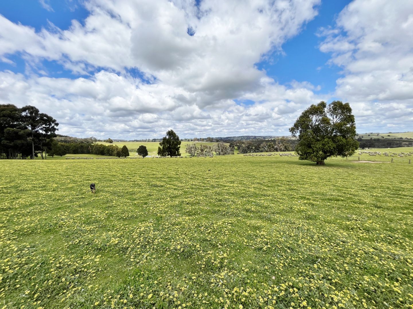 510 Lodge Road, Boyup Brook WA 6244, Image 2