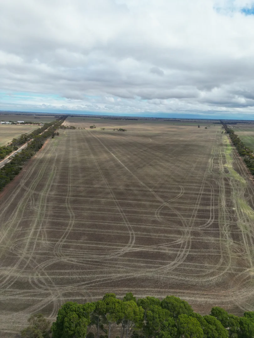 Additional image 2 of A2 Bute Road, Willamulka SA 5554