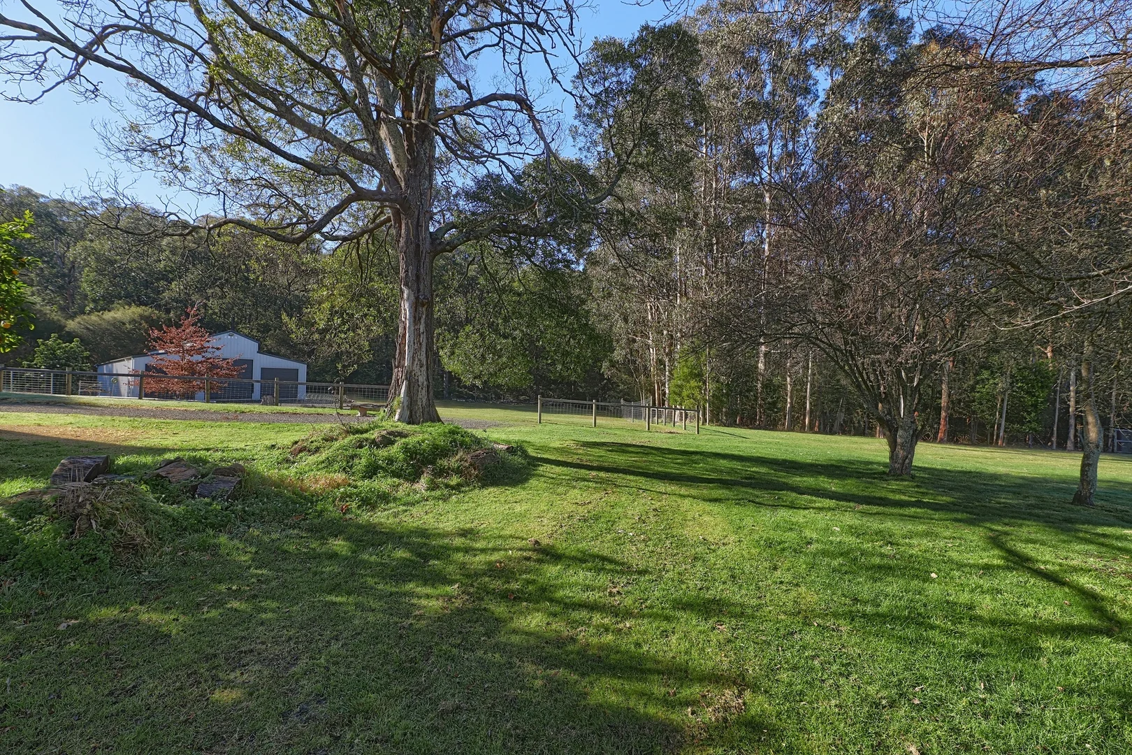 Image 10