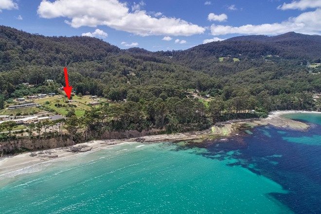 Picture of 378 Pirates Bay Drive, EAGLEHAWK NECK TAS 7179