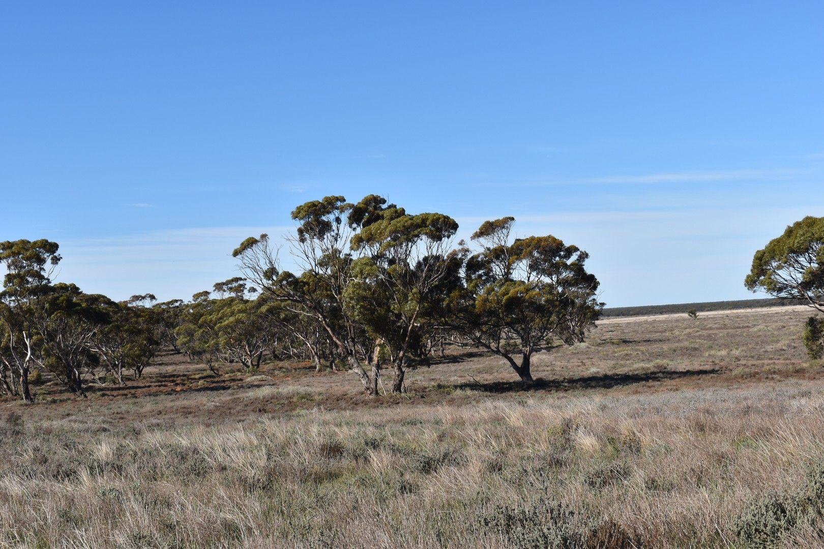 Sec 35 Brownlow Road, Brownlow SA 5374, Image 0