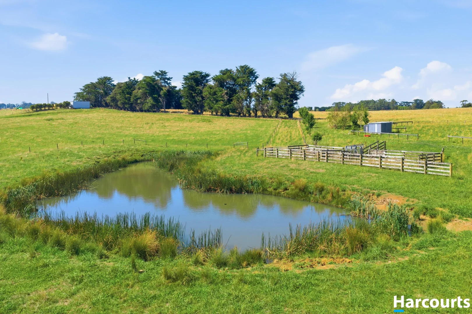 Additional image 10 of 8 Stubbers Lane, Mirboo North VIC 3871