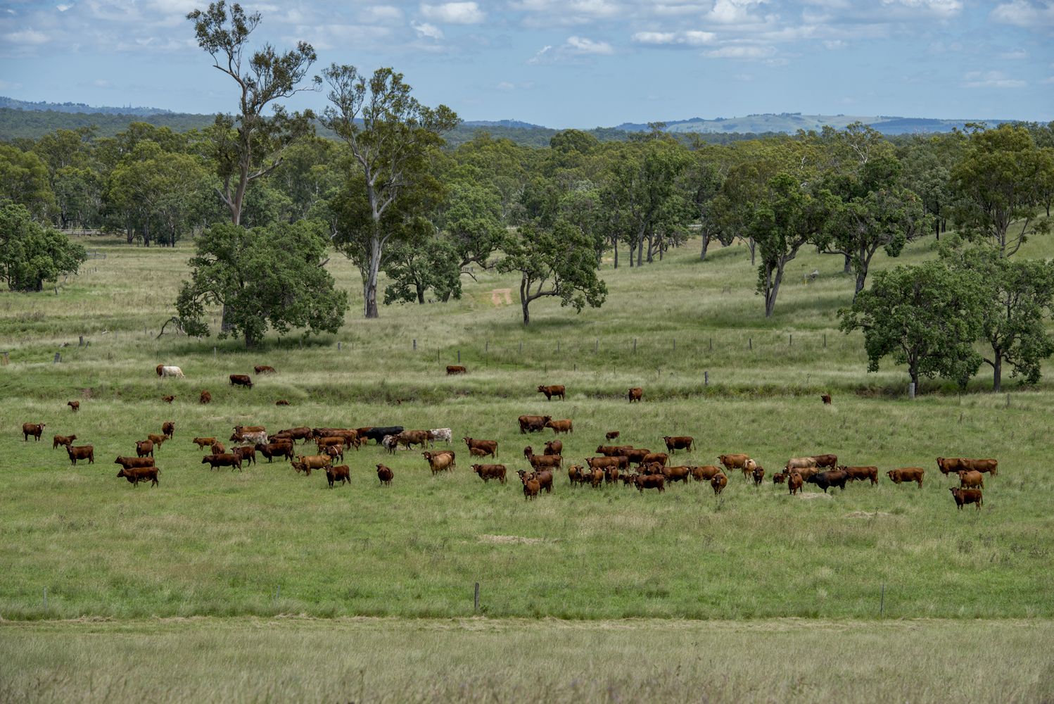 Jacaranda Park Burnett Highway, Nanango QLD 4615, Image 1