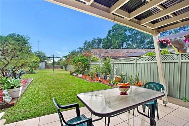 Picture of 31 Orpington Street (access from Canonbury Grove), BEXLEY NORTH NSW 2207