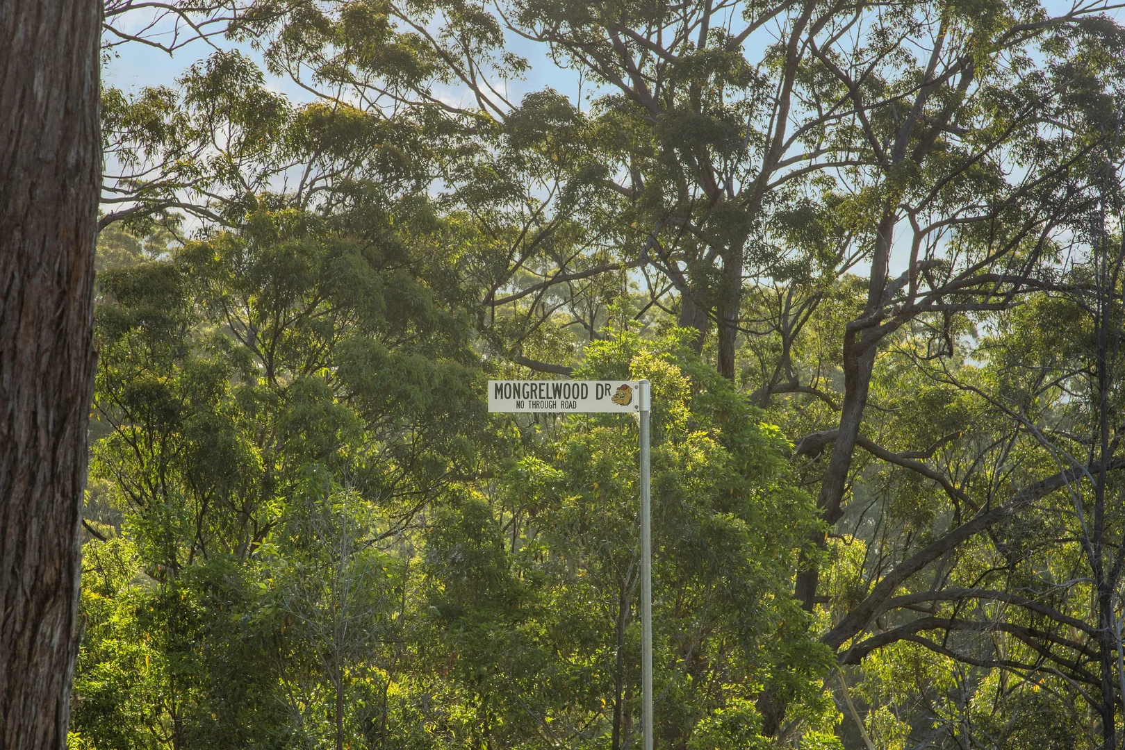 Image 18