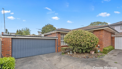 Picture of 2/36 Greenwood Street, BURWOOD VIC 3125