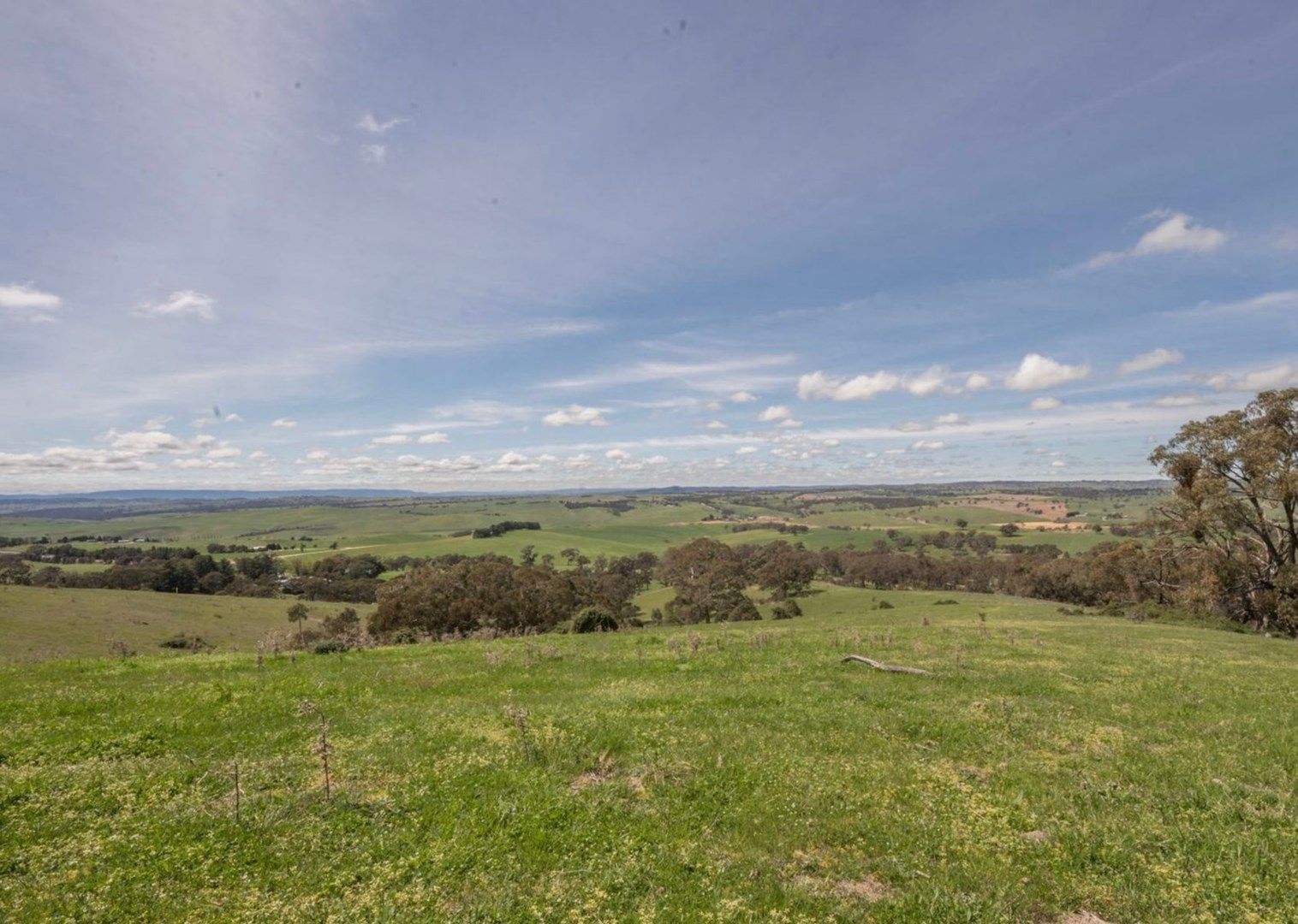 2267 Mid Western Highway, Bathampton NSW 2795, Image 0