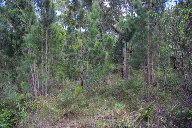 176 Wallaga Lake Road, Wallaga Lake NSW 2546, Image 0