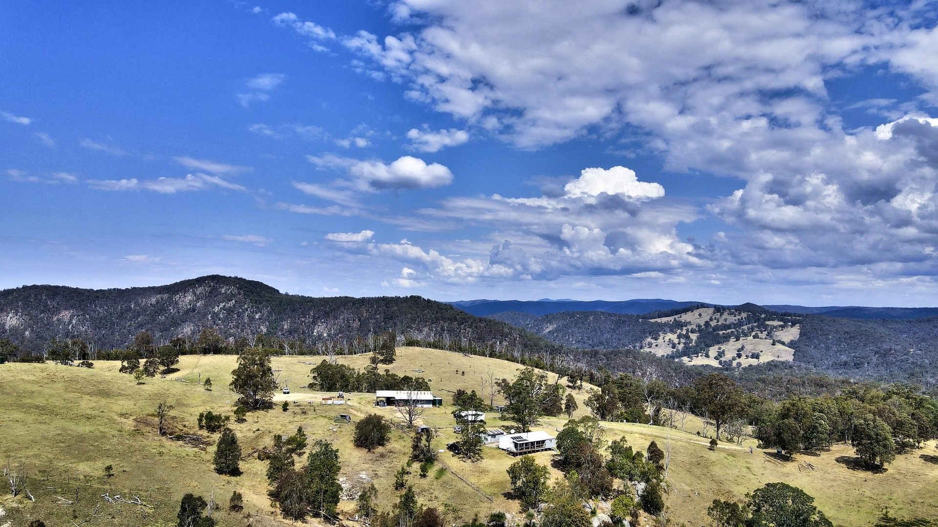 155 Daisy Mount Road, Tenterfield NSW 2372 House for Sale 990,000