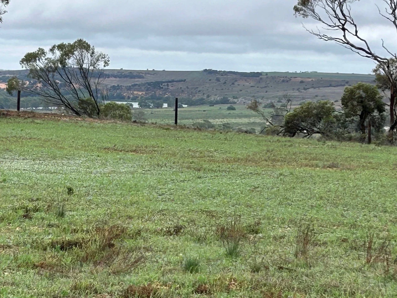 Image 15