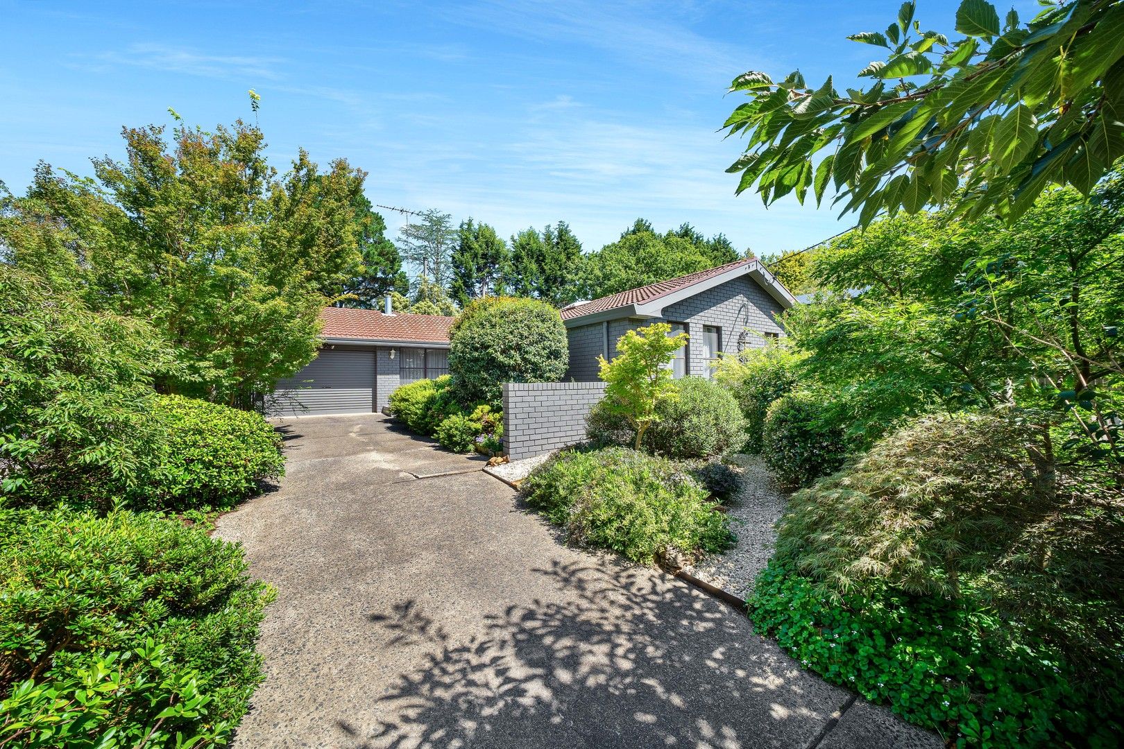 4 bedrooms House in 19 Brentwood Avenue BLACKHEATH NSW, 2785