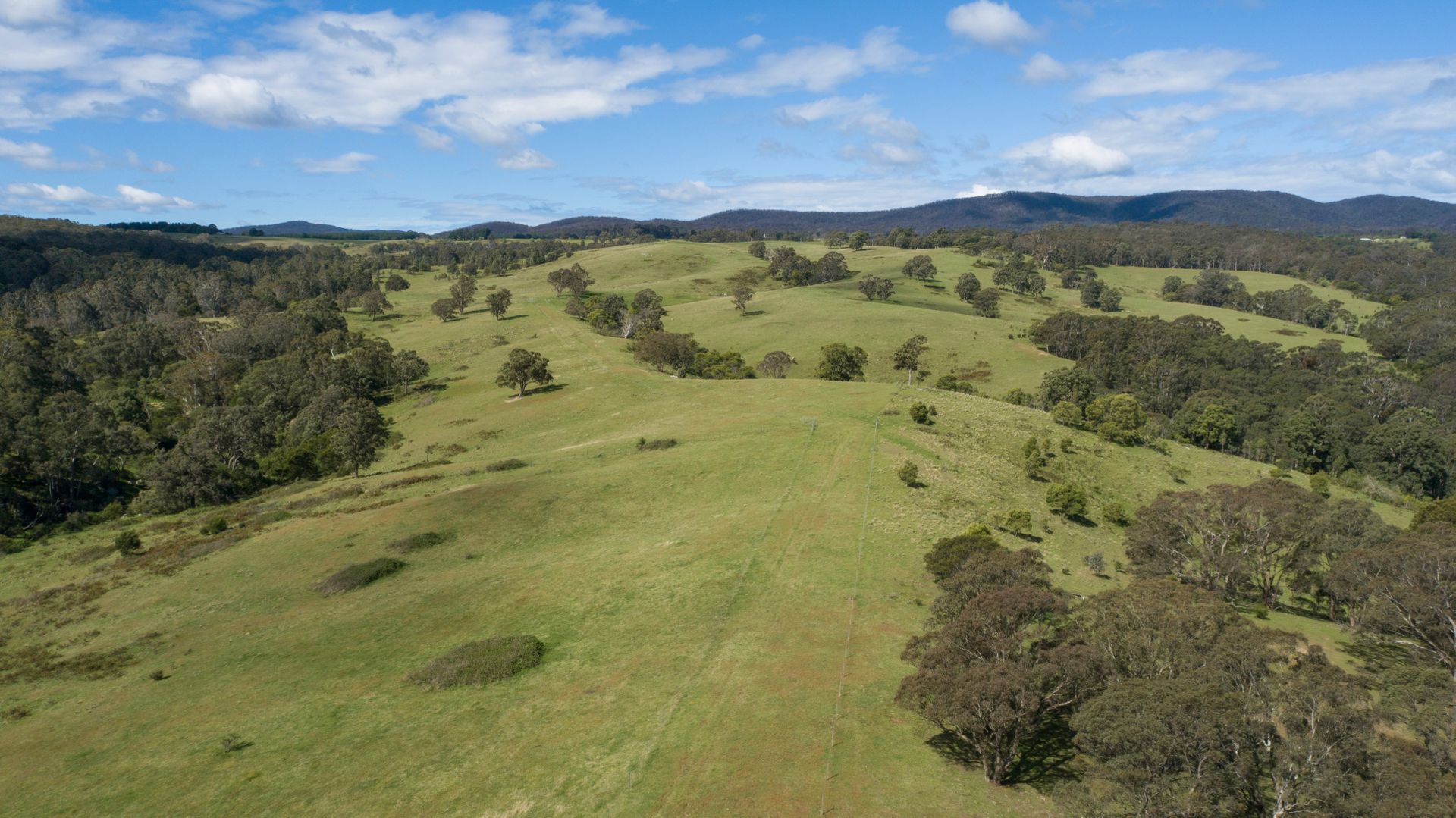 6800 Araluen Road, Braidwood NSW 2622, Image 2