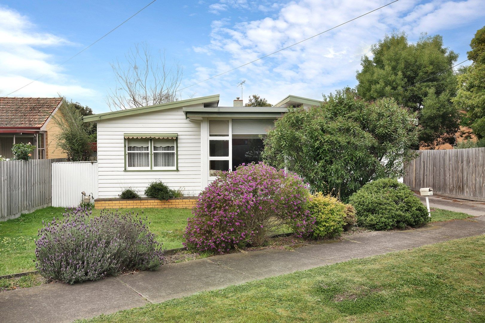 94 Heytesbury Street, Herne Hill VIC 3218, Image 0