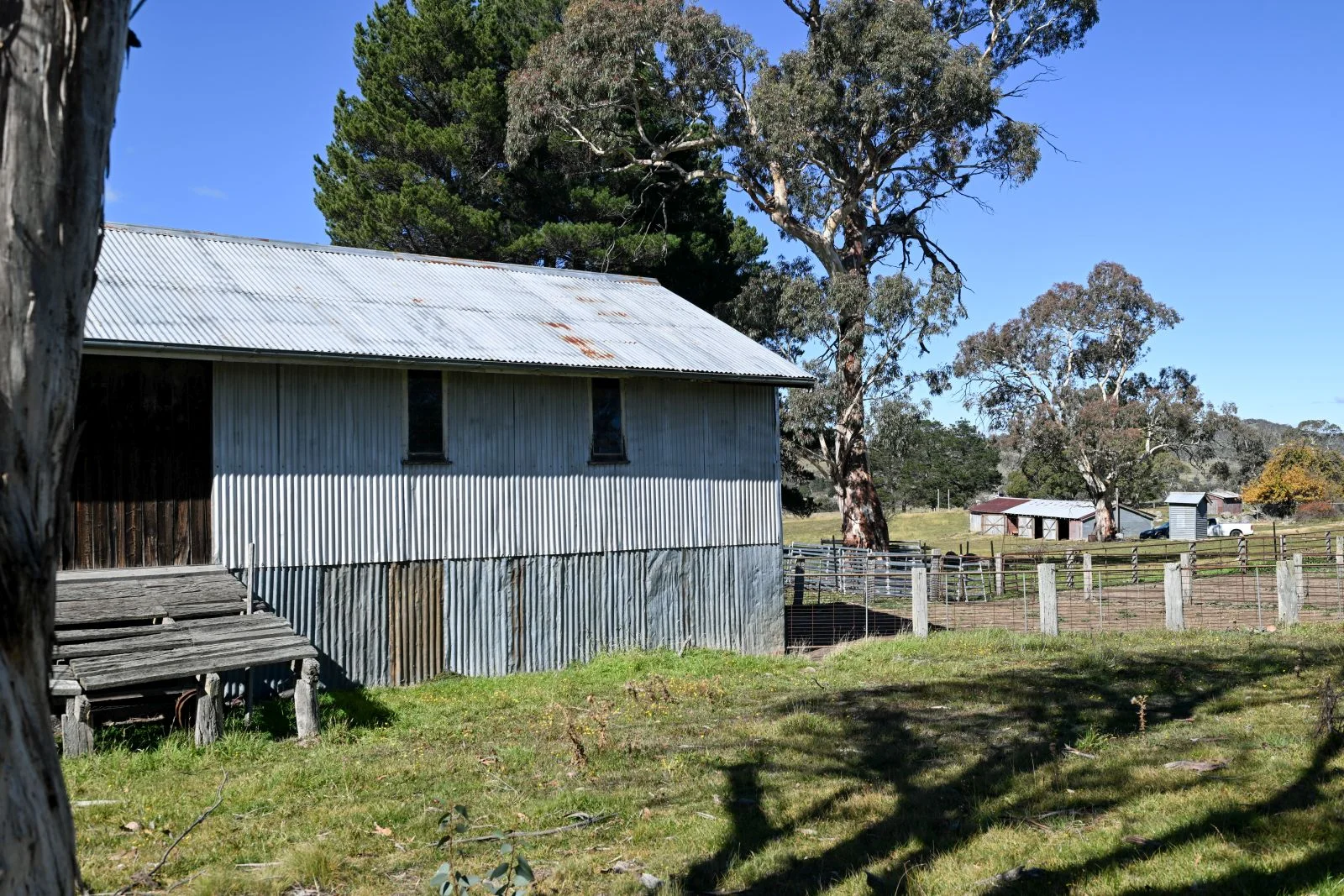 Image 19