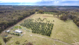 Picture of 385 Caoura Road, TALLONG NSW 2579