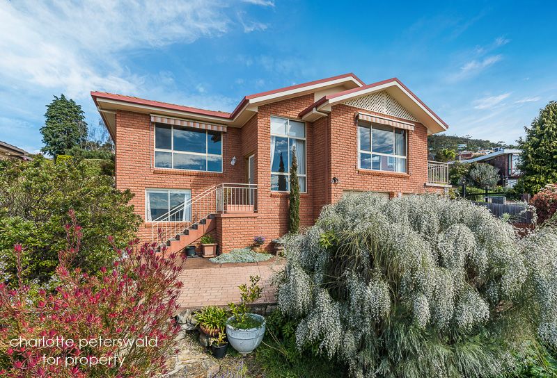 1/476 Churchill Avenue, Sandy Bay TAS 7005, Image 0