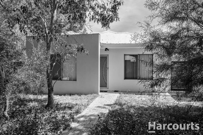 Picture of 29 Thornbill Crescent, COODANUP WA 6210