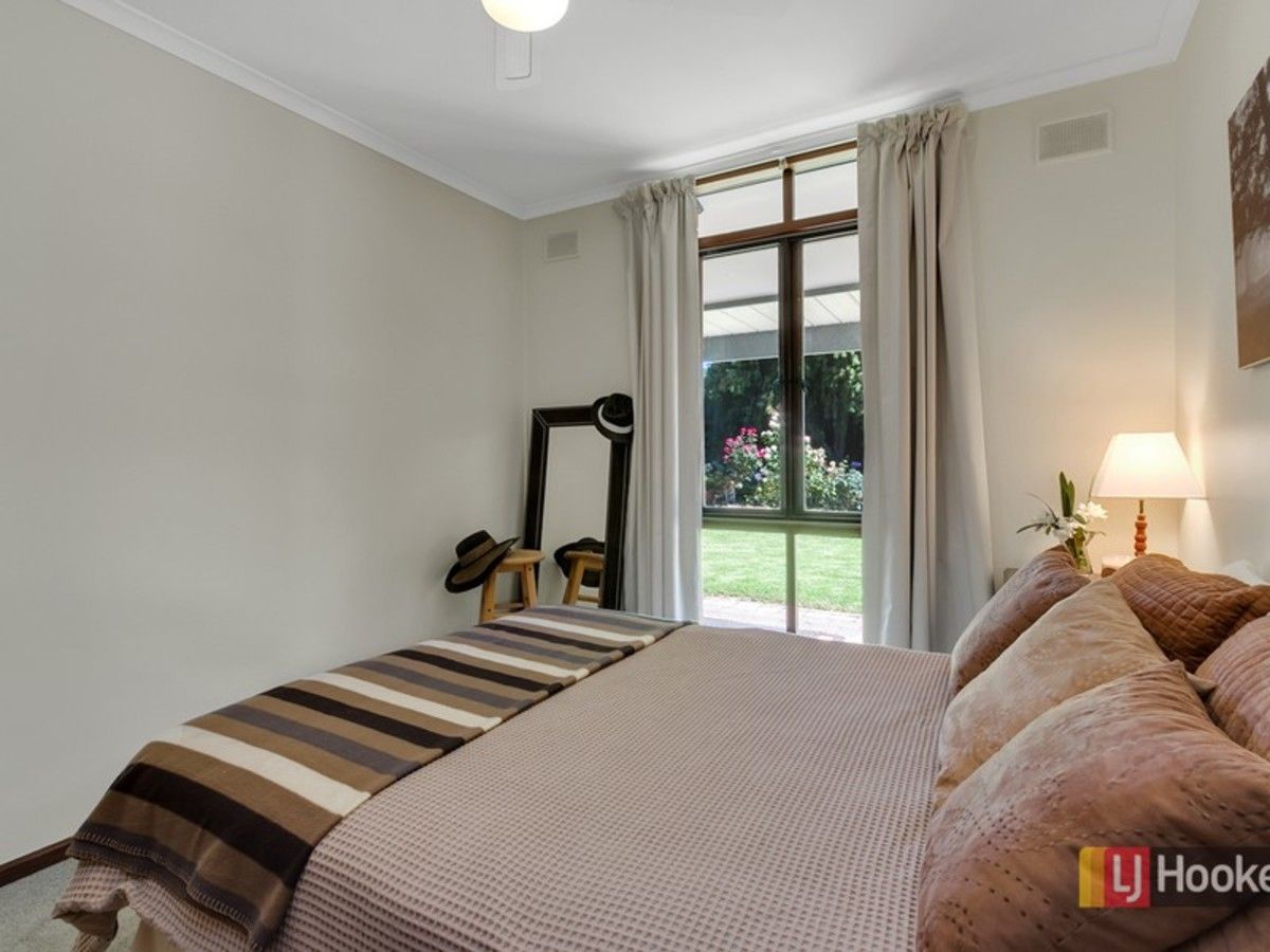 3 Fysh Court, Modbury Heights SA 5092, Image 1