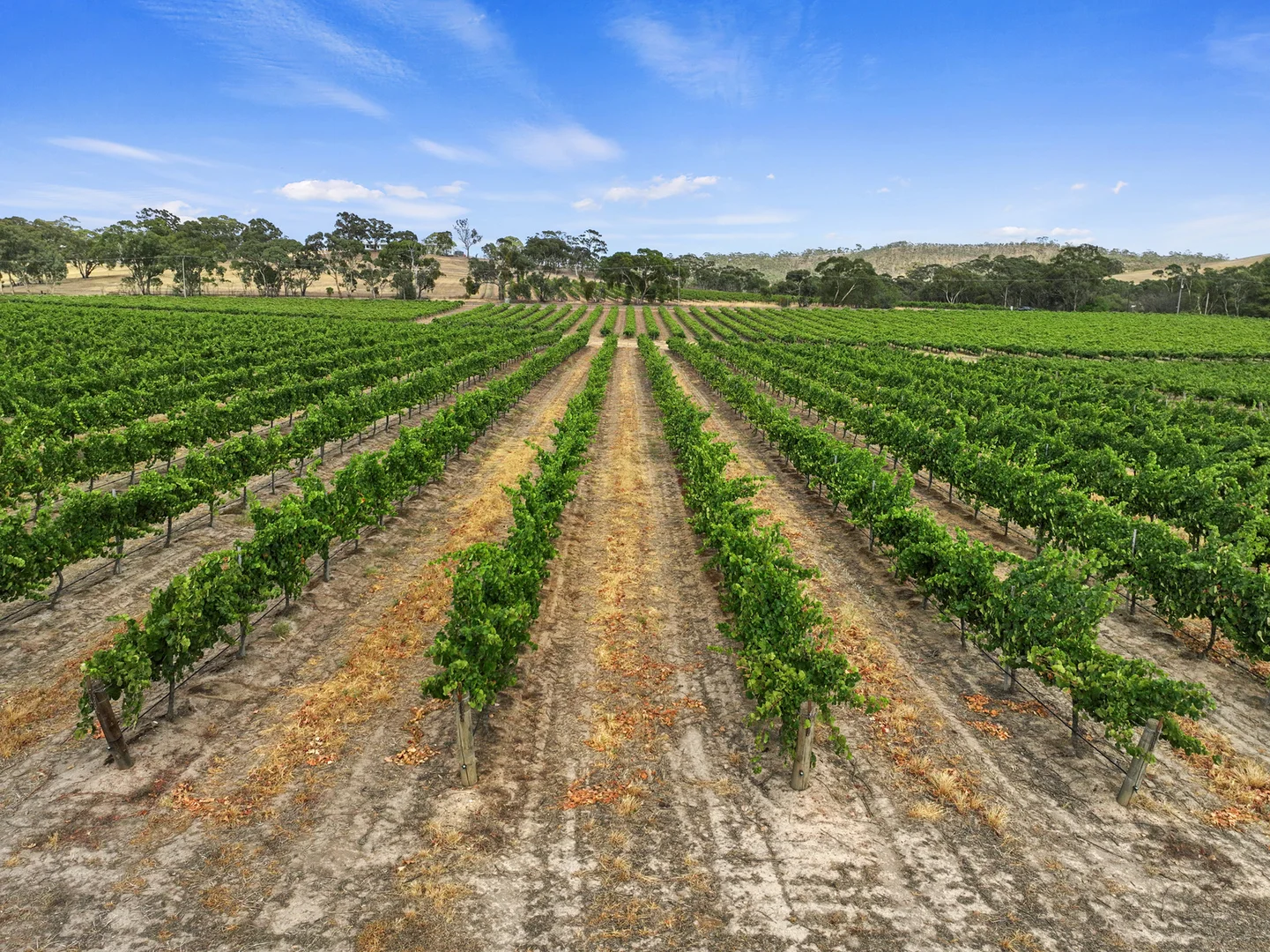 Additional image 16 of 285 Neagles Rock Road, Clare SA 5453