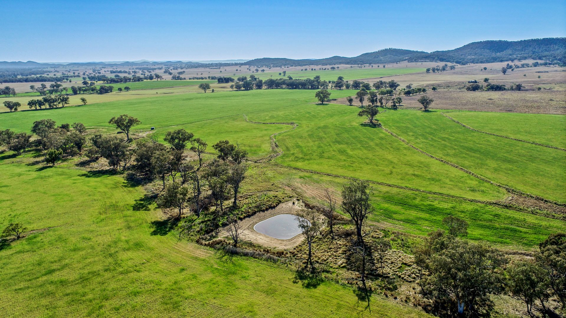 'Glenauchra' 16 Martins Lane, Curra Creek NSW 2820, Image 0