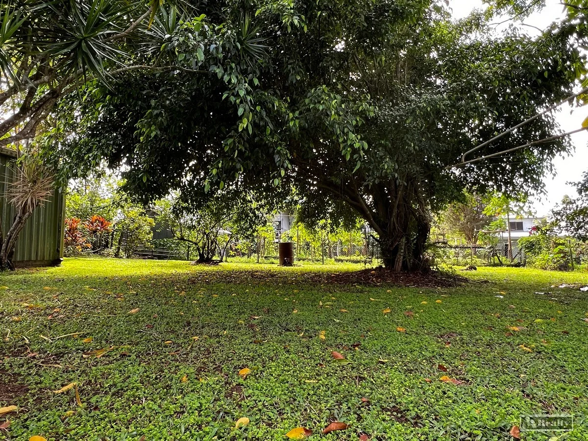 Image 10