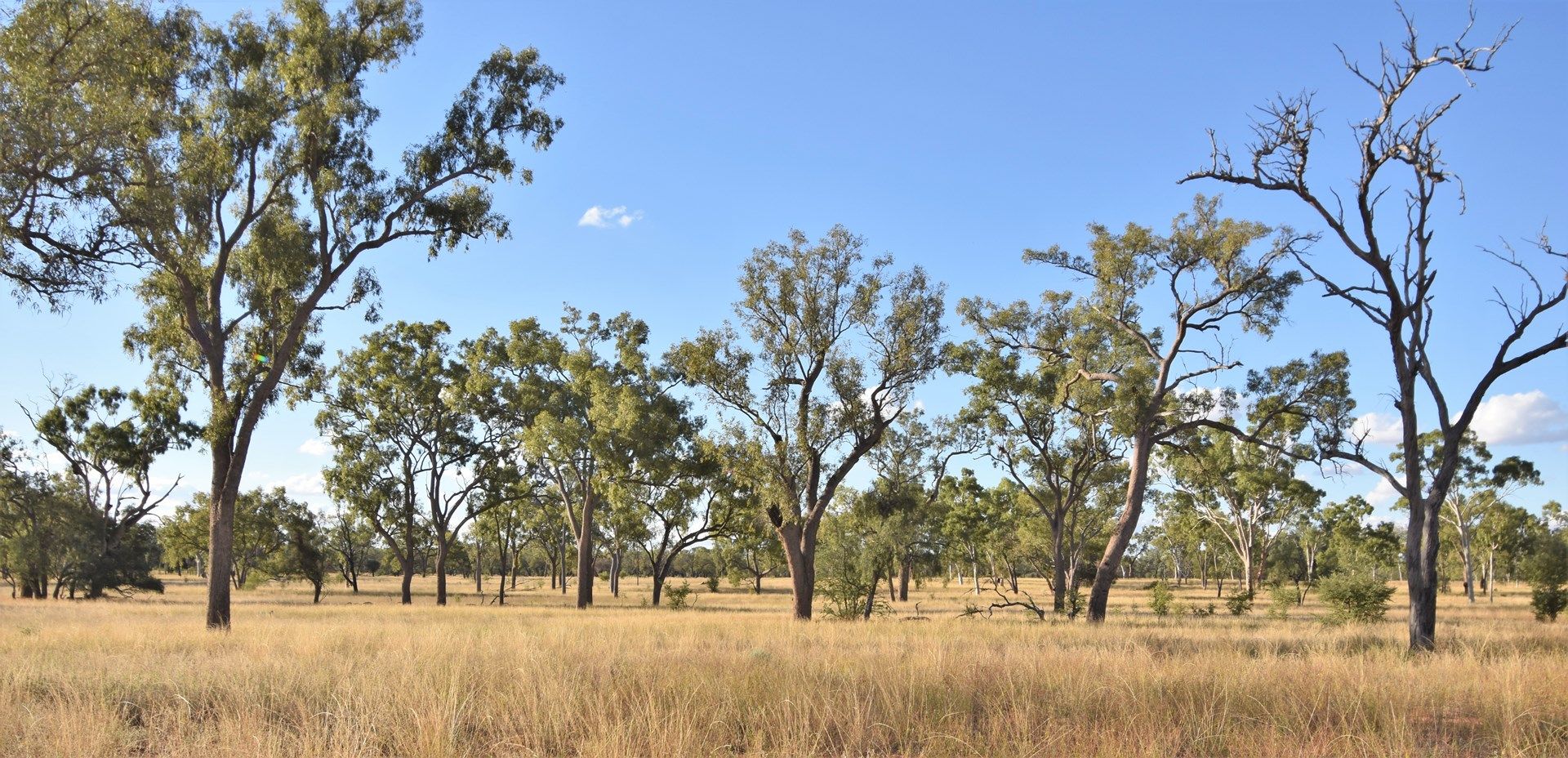 40565 Landsborough Highway, Barcaldine QLD 4725, Image 0