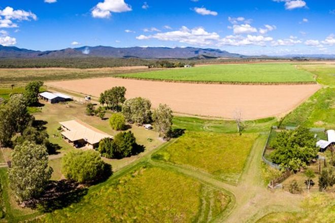 Picture of 3595 Kennedy Highway, MAREEBA QLD 4880