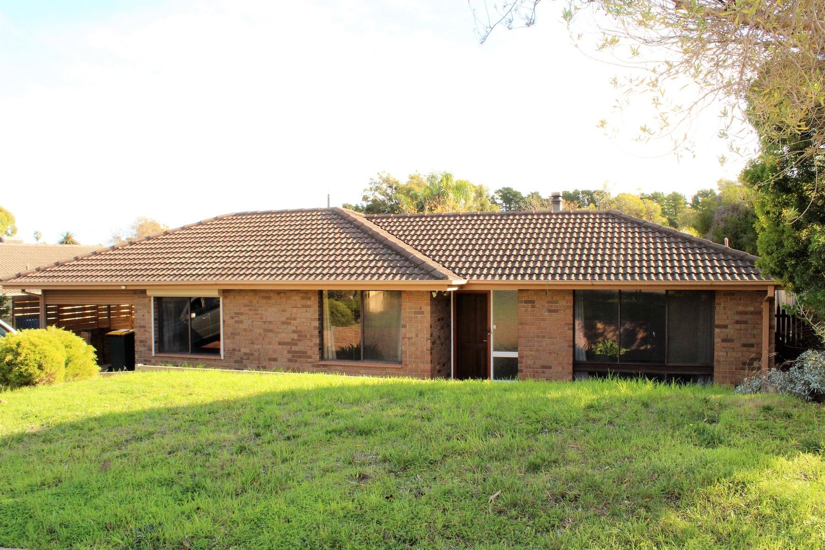 3 bedrooms House in 12 Scarvell Avenue TROTT PARK SA, 5158