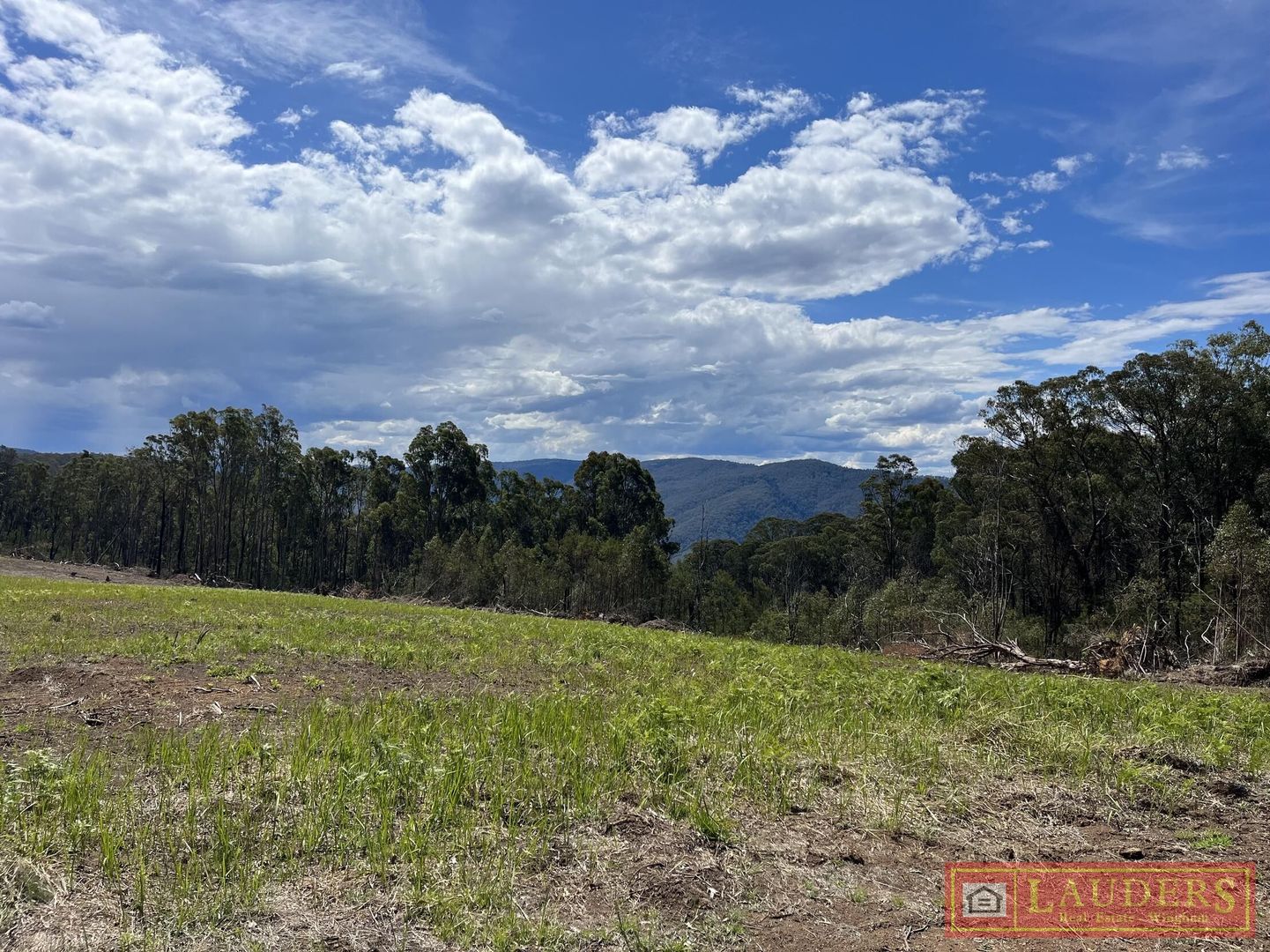 Baxters Ridge Trail, Baxters Ridge NSW 2422 House for Sale Domain