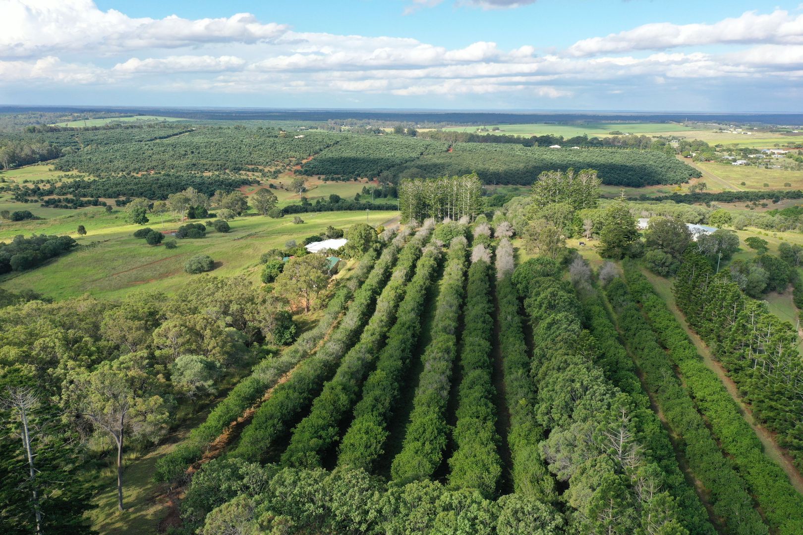 Vacant land in 106 Rankin Road, CHILDERS QLD, 4660