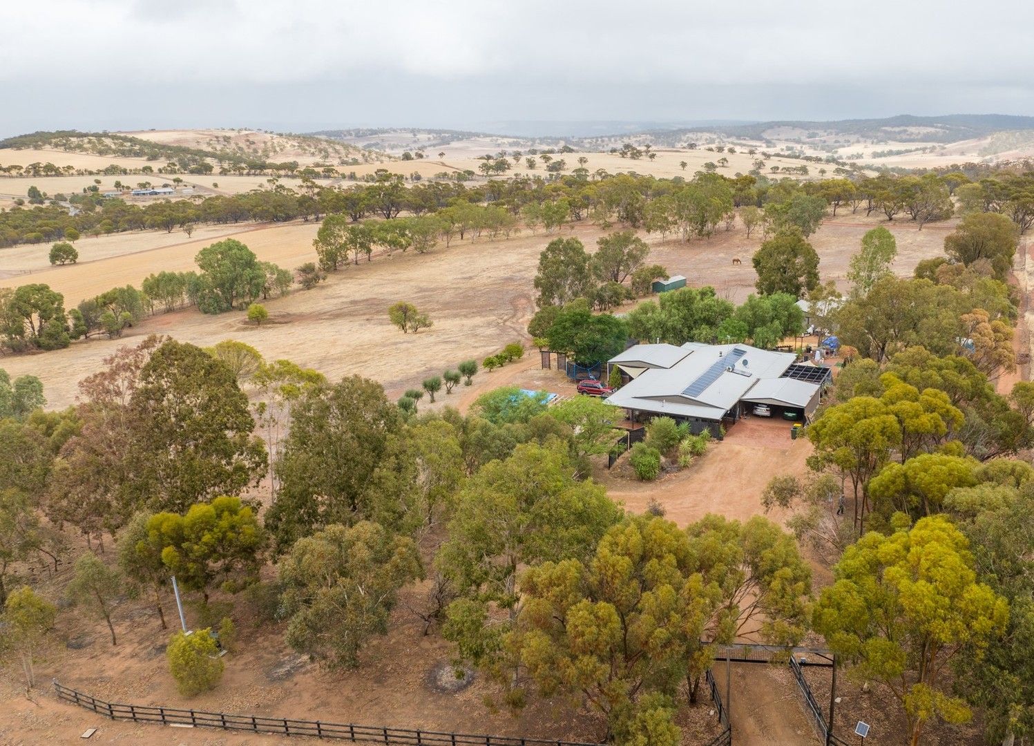 5 bedrooms House in 44 McIntosh Rd COONDLE WA, 6566