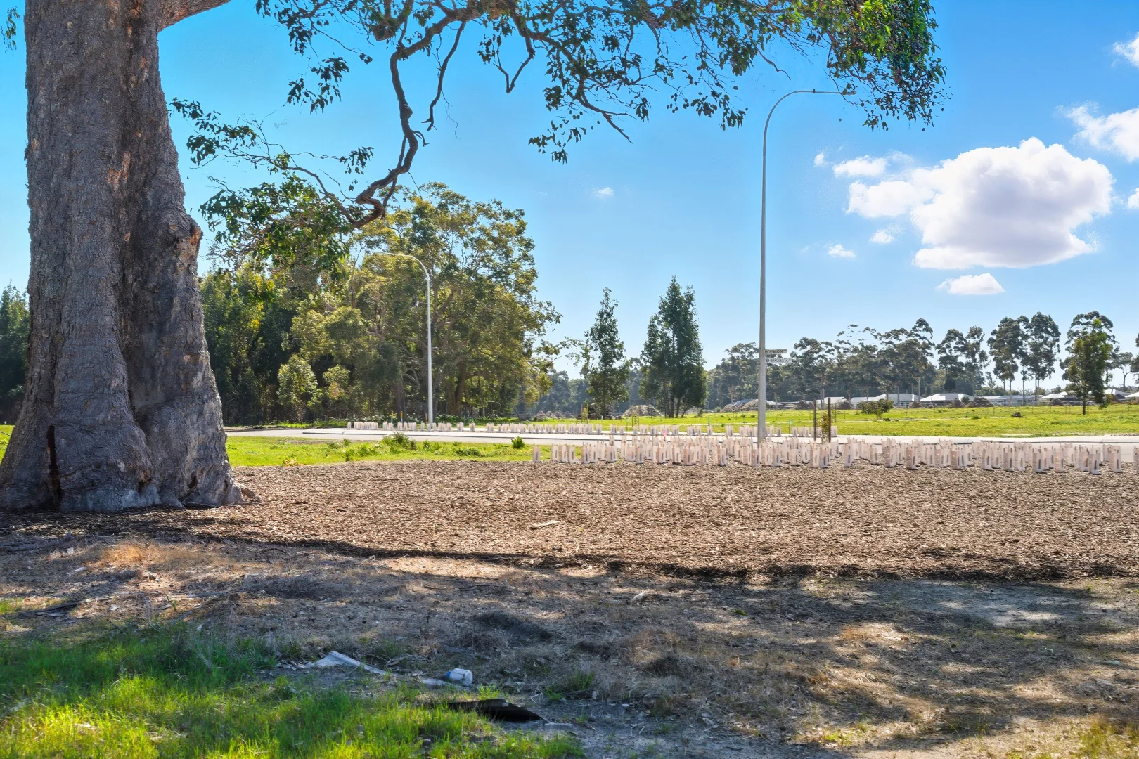 Additional image 6 of Lot 209/36 Tallwood Loop, Witchcliffe WA 6286