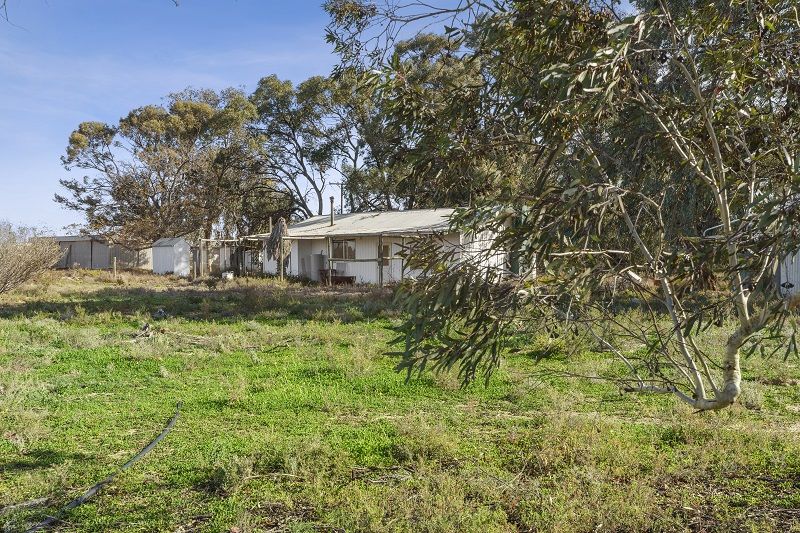 78 Clements Road, Cobdogla SA 5346, Image 0