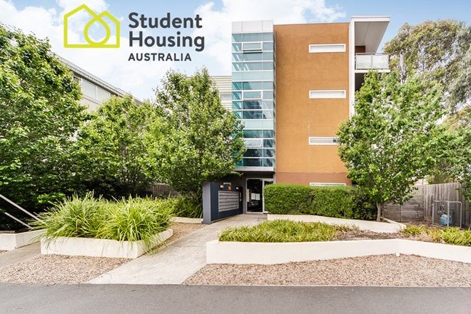 30 Studios For Rent In Box Hill Vic 3128 Domain