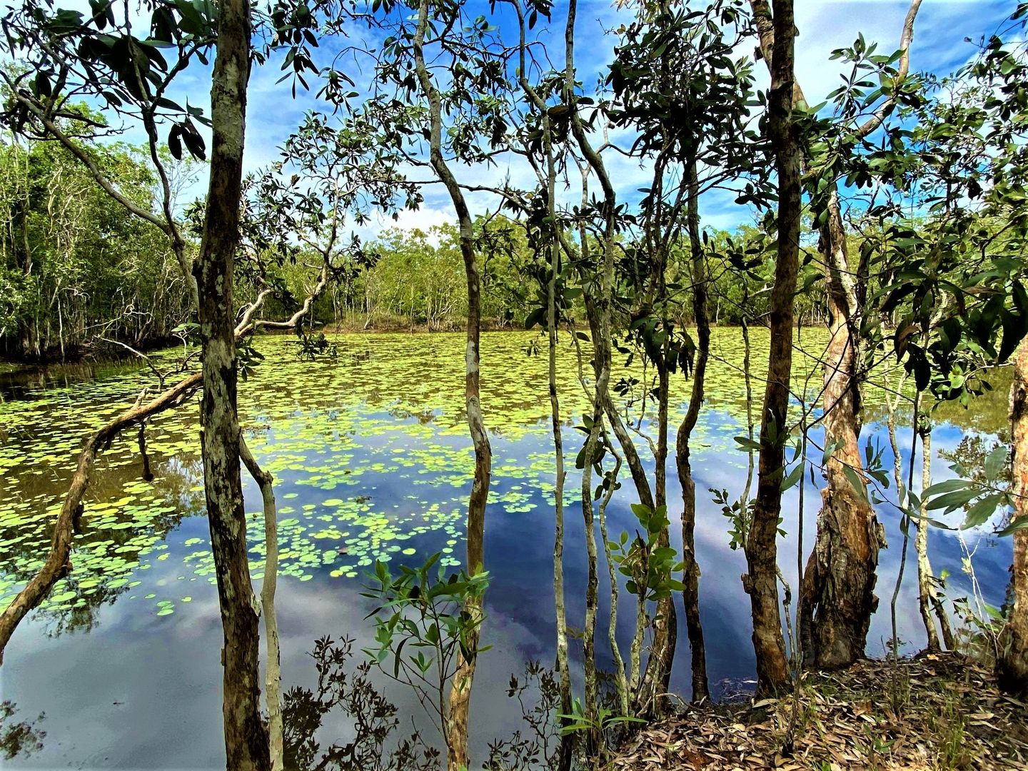 Lot 7 Endeavour Valley Road, Cooktown QLD 4895, Image 1