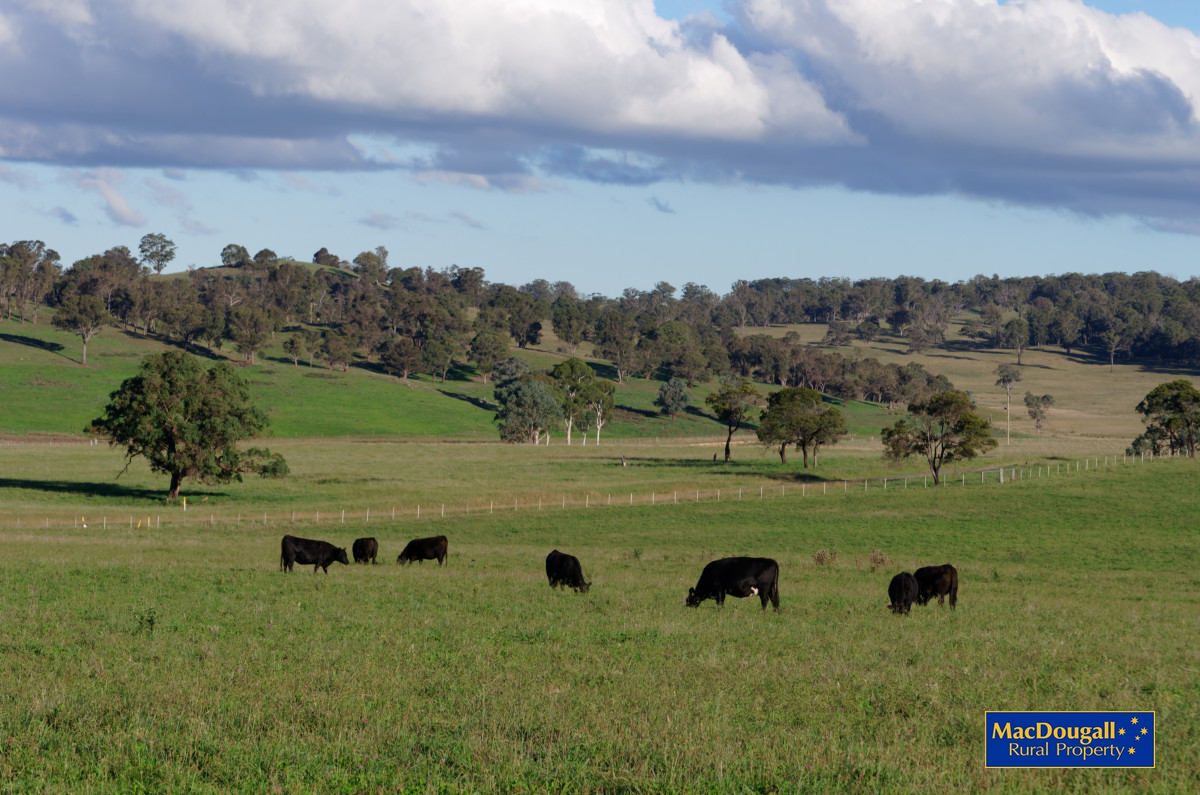 NeMonaVille, Walcha NSW 2354, Image 1